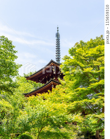 【奈良県】明日香村 岡寺 (2024/06/11撮影) 115659310
