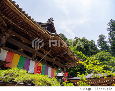 【奈良県】明日香村 岡寺 (2024/06/11撮影) 115659312
