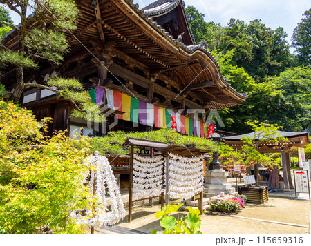 【奈良県】明日香村 岡寺 (2024/06/11撮影) 【奈良県】明日香村 岡寺 (2024/06/11撮影) 115659316