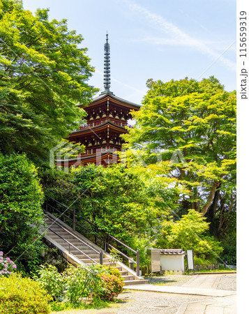 【奈良県】明日香村 岡寺 (2024/06/11撮影) 【奈良県】明日香村 岡寺 (2024/06/11撮影) 115659319
