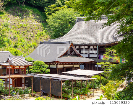 【奈良県】明日香村 岡寺 (2024/06/11撮影) 【奈良県】明日香村 岡寺 (2024/06/11撮影) 115659320