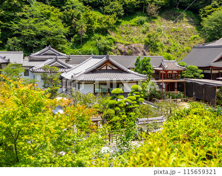【奈良県】明日香村 岡寺 (2024/06/11撮影) 115659321