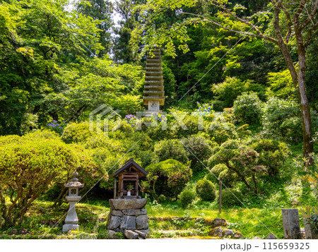 【奈良県】明日香村 岡寺 (2024/06/11撮影) 【奈良県】明日香村 岡寺 (2024/06/11撮影) 115659325
