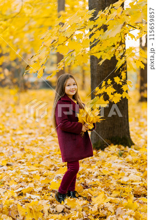 Autumn street portrait of a beautiful happy child girl walking in a park or forest in a coat, holding a bouquet of yellow leaves in her hands 115659857