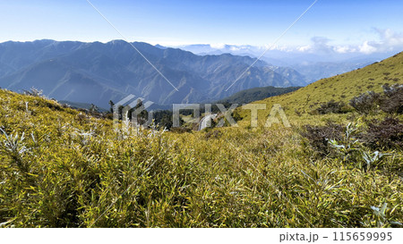 アルプ 高山 高峰 115659995