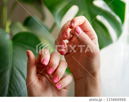 Hands with pink neon stamping nails manicure Hands with pink neon stamping nails manicure 115660988