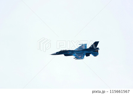 F-2 戦闘機の低空飛行 F-2 戦闘機の低空飛行 115661567