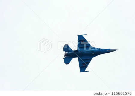 F-2 戦闘機の低空飛行 F-2 戦闘機の低空飛行 115661576