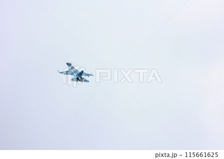 F-2 戦闘機の低空飛行 F-2 戦闘機の低空飛行 115661625