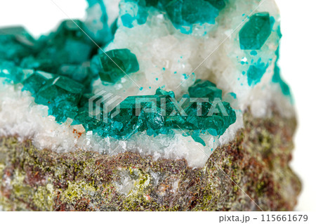 Macro mineral stone Dioptase silicate copper on a white background Macro mineral stone Dioptase silicate copper on a white background 115661679