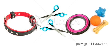 Dog collar, scissors and Set of dog toys isolated on white. Collage. Wide photo. 115662147