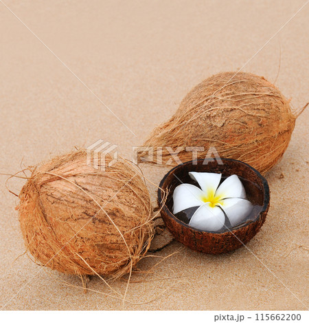 Coconuts on the sandy tropical beach Coconuts on the sandy tropical beach 115662200