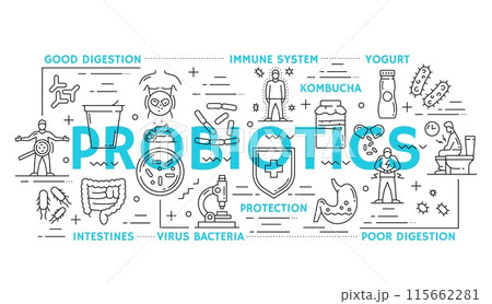 Intestine health and probiotics line vector icons or infographics. Yogurt, kombucha, intestines and bacteria. Poor or good digestion, immune system, protection linear symbols in black and blue colors 115662281