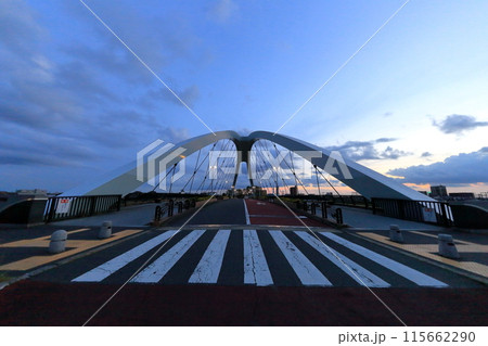 辰巳新橋(東京都江戸川区) 辰巳新橋(東京都江戸川区) 115662290