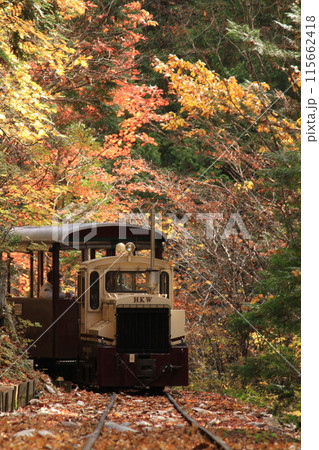 森林鉄道の秋 森林鉄道の秋 115662418