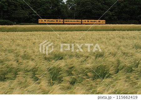 麦秋と列車 115662419