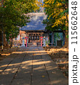 【神奈川県】高田天満宮の秋風景・紅葉に包まれる境内・12月 ※自然風景 【神奈川県】高田天満宮の秋風景・紅葉に包まれる境内・12月 ※自然風景 115662648