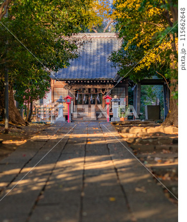 【神奈川県】高田天満宮の秋風景・紅葉に包まれる境内・12月 ※自然風景 【神奈川県】高田天満宮の秋風景・紅葉に包まれる境内・12月 ※自然風景 115662648