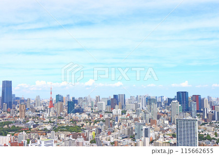東京都港区、東京の街並みと東京タワーの風景 東京都港区、東京の街並みと東京タワーの風景 115662655