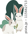 two Rabbits and bushes and grasses on transparent background, isolated elements vector 115662713