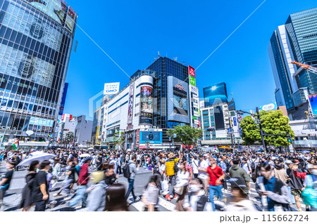 日本の東京都市景観 復活インバウンド…観光客らで賑わう渋谷スクランブル交差点などを望む=5月3日 日本の東京都市景観 復活インバウンド…観光客らで賑わう渋谷スクランブル交差点などを望む=5月3日 115662724