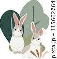 two Rabbits and bushes and trees on transparent background, isolated elements vector 115662764