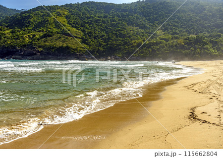 Hills and forest on Bonete beach 115662804