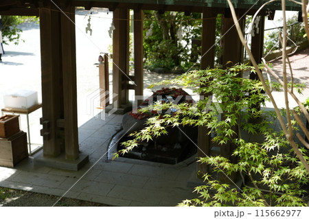 新緑の鎌倉宮 新緑の鎌倉宮 115662977