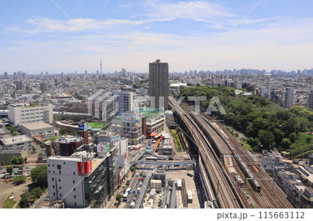 北とぴあの展望ロビーから望む東京北部の絶景 115663112
