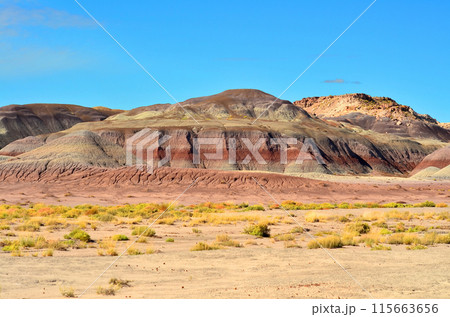 Barren Hostile Landscape Painted Desert Northern Arizona 115663656
