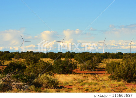 Desert Wind Farm 115663657