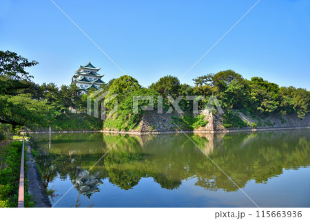 《愛知県》初夏の名古屋城 《愛知県》初夏の名古屋城 115663936