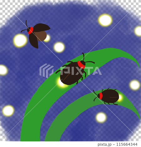 夏夜的螢火蟲 115664344