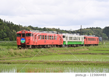 小湊鉄道　上総川間　キハ40-3+キハ40-2＋キハ40-5　天北 115664493