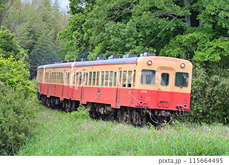 小湊鉄道 上総大久保 キハ205+キハ208+キハ207 小湊鉄道 上総大久保 キハ205+キハ208+キハ207 115664495