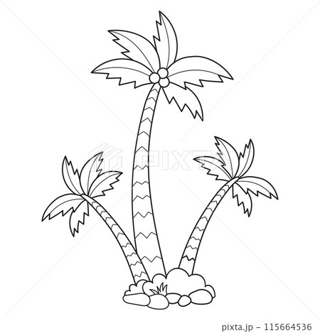 Outline tropical palm trees. Line drawing, coloring book. Vector illustration. Kids collection. 115664536