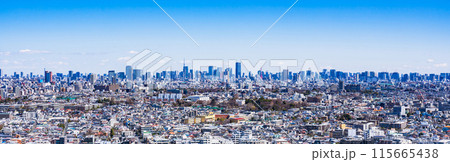 日本 の 首都 東京 の パノラマビュー 【 Tokyo city panorama view 】 日本 の 首都 東京 の パノラマビュー 【 Tokyo city panorama view 】 115665438