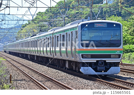 東海道本線　大磯ー二宮　JR東日本　E231系1000番台　U118編成（高崎） 115665501