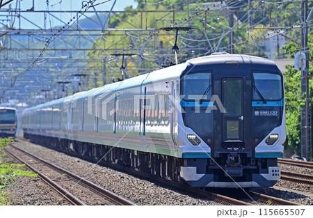 東海道本線　大磯ー二宮　JR東日本　E257系2500番台　NC-34編成（大宮）　踊り子 115665507