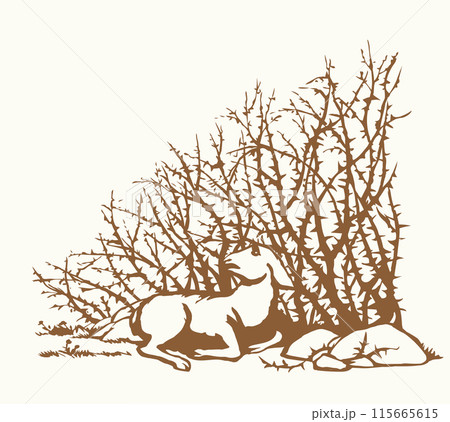 Vector drawing. The sheep got lost in the thorn bushes Vector drawing. The sheep got lost in the thorn bushes 115665615