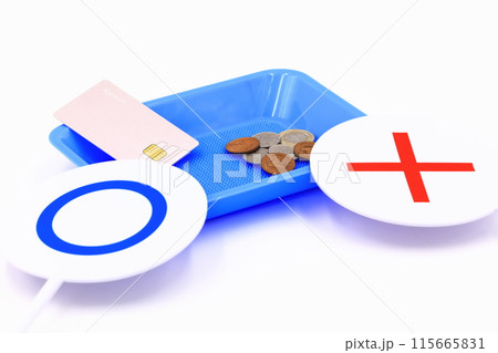 決済と支払い方法のイメージ（紙幣とクレジットカード） 115665831