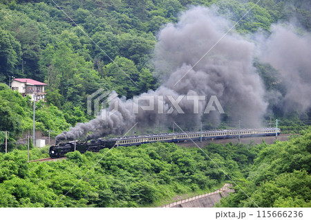 上越線　上牧ー水上　JR東日本　D51-498+C57-180+12系-SLググっとぐんまみなかみ 115666236