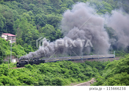 上越線 上牧ー水上 JR東日本 D51-498+C57-180+12系-SLググっとぐんまみなかみ 上越線 上牧ー水上 JR東日本 D51-498+C57-180+12系-SLググっとぐんまみなかみ 115666238