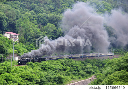 上越線　上牧ー水上　JR東日本　D51-498+C57-180+12系-SLググっとぐんまみなかみ 115666240