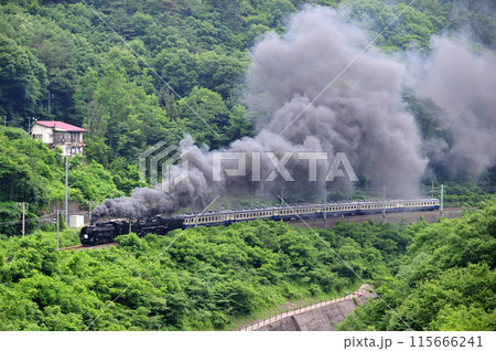 上越線　上牧ー水上　JR東日本　D51-498+C57-180+12系-SLググっとぐんまみなかみ 115666241