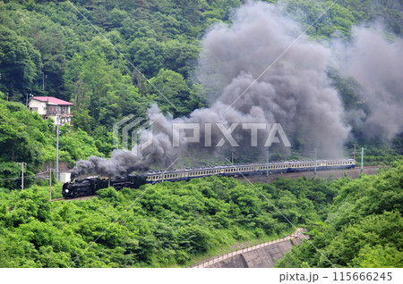 上越線　上牧ー水上　JR東日本　D51-498+C57-180+12系-SLググっとぐんまみなかみ 115666245