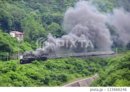 上越線　上牧ー水上　JR東日本　D51-498+C57-180+12系-SLググっとぐんまみなかみ 115666246