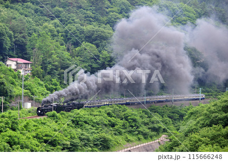 上越線　上牧ー水上　JR東日本　D51-498+C57-180+12系-SLググっとぐんまみなかみ 115666248