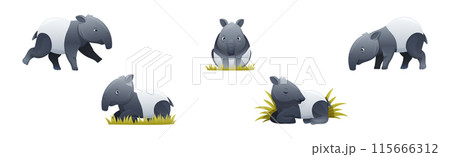 Cute Malayan Tapir as Asian Animal with White Patch and Short Nose Trunk in Different Pose Vector Set Cute Malayan Tapir as Asian Animal with White Patch and Short Nose Trunk in Different Pose Vector Set 115666312