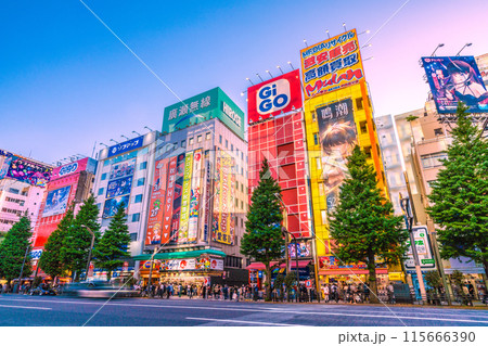 日本の東京都市景観 復活インバウンド…外国人観光客で賑わう秋葉原＝5月3日 115666390